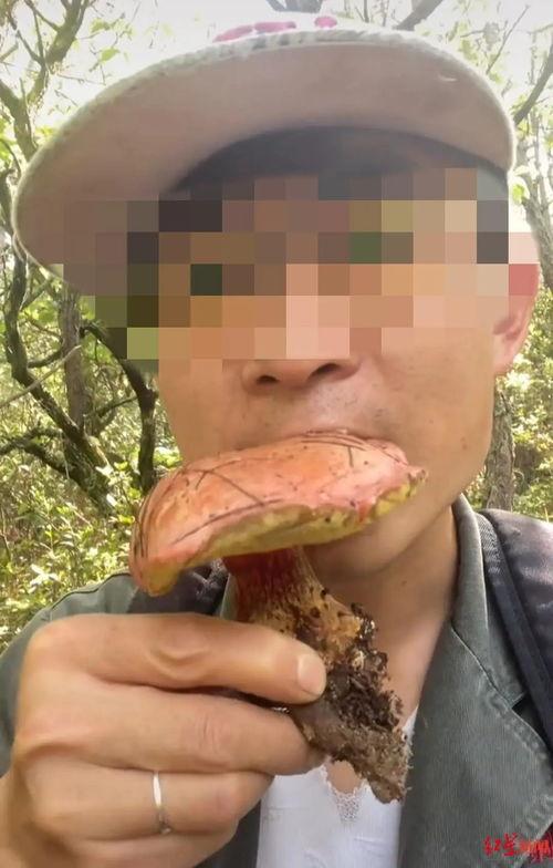 石狮网红吃瓜事件,揭秘网络舆论的风暴与真相 第3张 石狮网红吃瓜事件,揭秘网络舆论的风暴与真相 第3张
